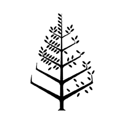 Four Seasons Xian Logo